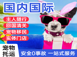 巴中恩阳国际宠物托运 【国
